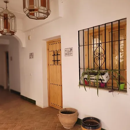 Patio Cordobes Córdoba