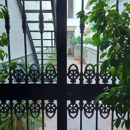 Patio Cordobes ゲストハウス *